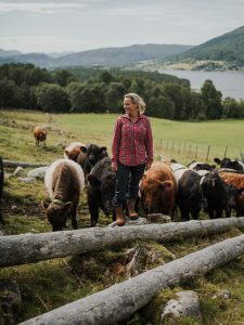 Galloway Økokjøtt