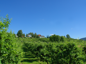 Egge Gård