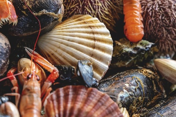 En hyllest til havet og våre lokale leverandører