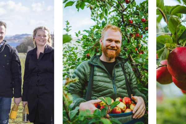 Alde Sider, Egge Gård og Sandalen Gård – Smak & prat kurs