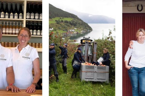 Nerø Sideri, Amble Gard og Skarbø Gard – Smak&prat kurs