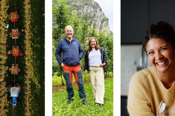 Ryfylke i glasset – sider, småretter og historier rundt langbordet