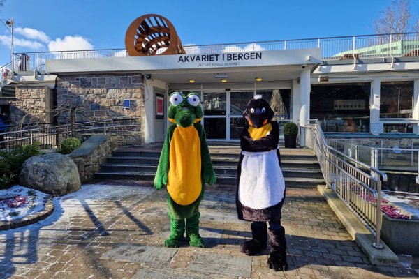 Pingu og Krokko fra Akvariet