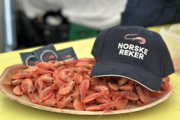 🦐 Rekepilling-konkurranse for skoleklasser