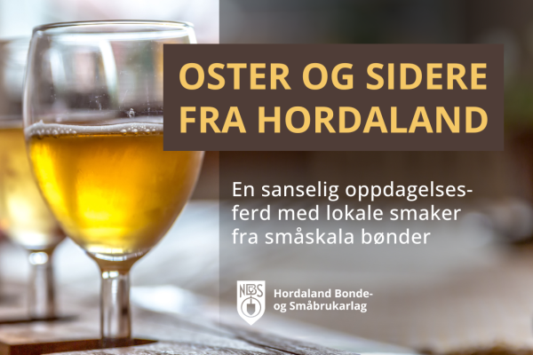 Oster og sidere fra Hordaland – en sanselig oppdagelsesferd