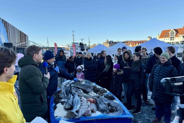 Fiskeauksjon mot matsvinn under Bergen Sjømatfestival
