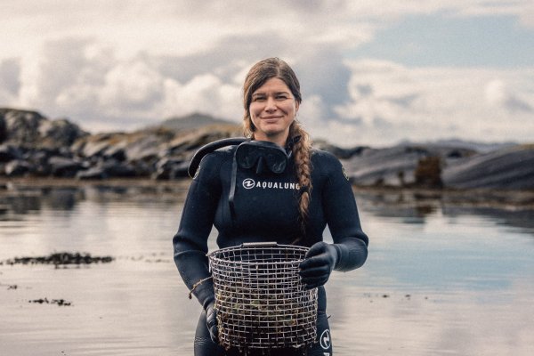 Havets grønne skatter – med Antje fra Lilløy Lindenberg 🪸