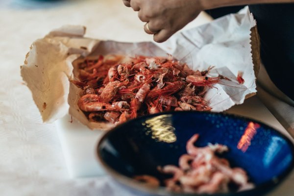 Rekepillekonkurranse 🦐