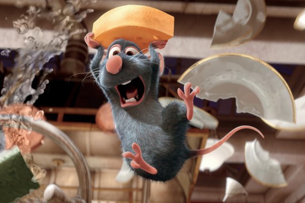 Fra kjøkken til kinolerret – Ung Matfest inntrer Cinemateket!